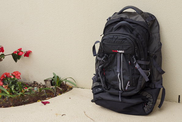 black wolf backpack